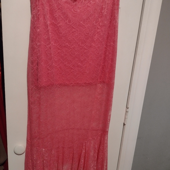 Anthropologie Pink Sheer Lace Mermaid Skirt NWT - Picture 5 of 6